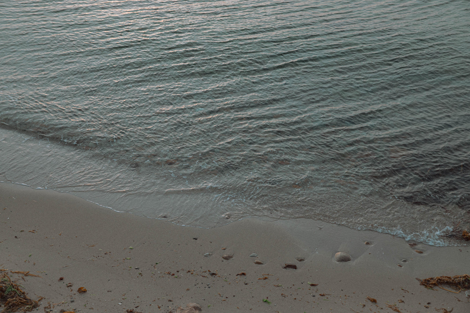 死を想うことは、生を取り戻すこと